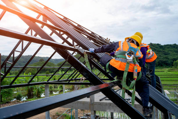 Best Roof Maintenance Services  in Holiday Shores, IL
