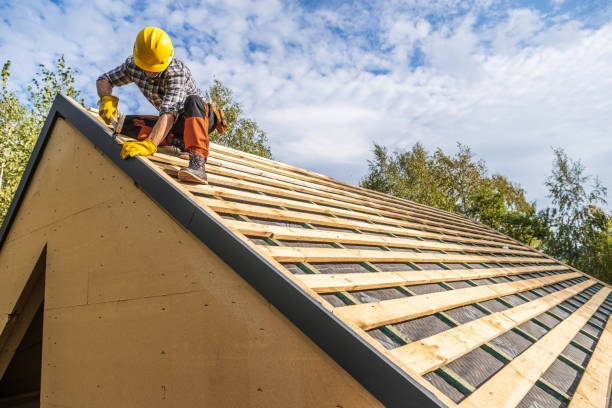Best Commercial Roofing Services  in Holiday Shores, IL